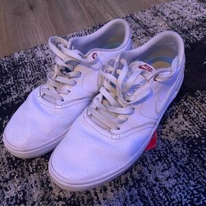 Nike SB White and Red Casual Sneakers
